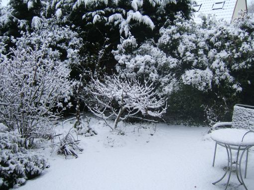 Snow 18 Dec 2010