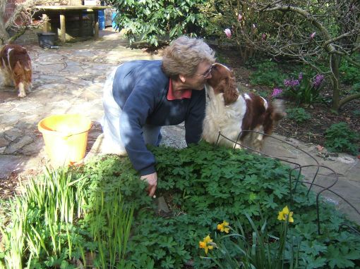 Gardening is better than housework